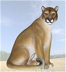 WLD29689 Contemplation Mountain Lion